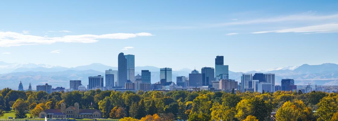 The Denver skyline on a clear day, with lush treetops in the foreground.